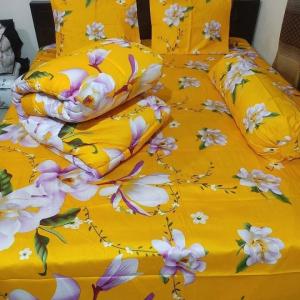 5-piece combo set of comforter
