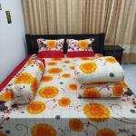 5-piece combo set of comforter