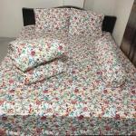5-piece combo set of comforter