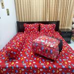 5-piece combo set of comforter