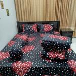 5-piece combo set of comforter