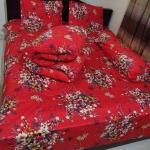 5-piece combo set of comforter
