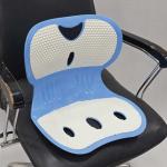 Waist Back Support Chair - Blue And White