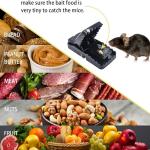 Mouse Killer Trap (5×3×3 inches)